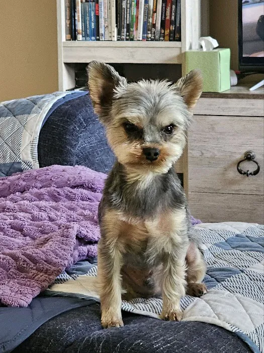 Banfield Pet Hospital 7