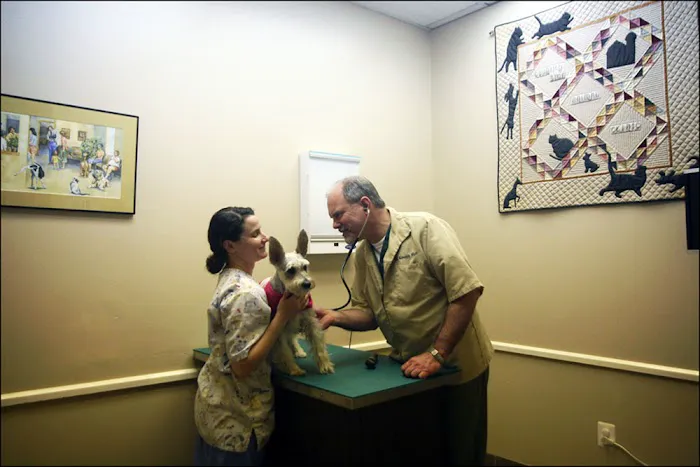 Countryside Animal Clinic 5