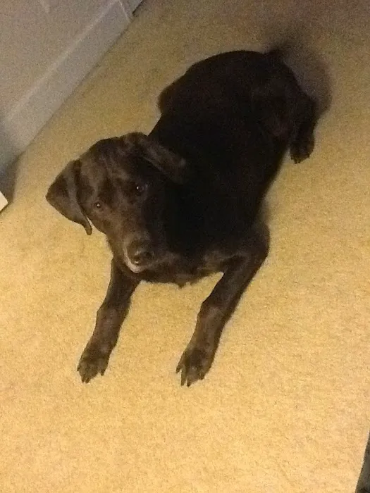 Southside Animal Hospital 3