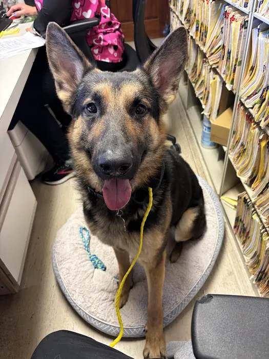 Prince William Animal Hospital 5