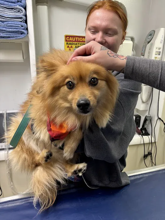 Prince William Animal Hospital 9