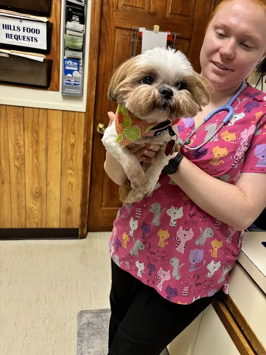 Prince William Animal Hospital 6