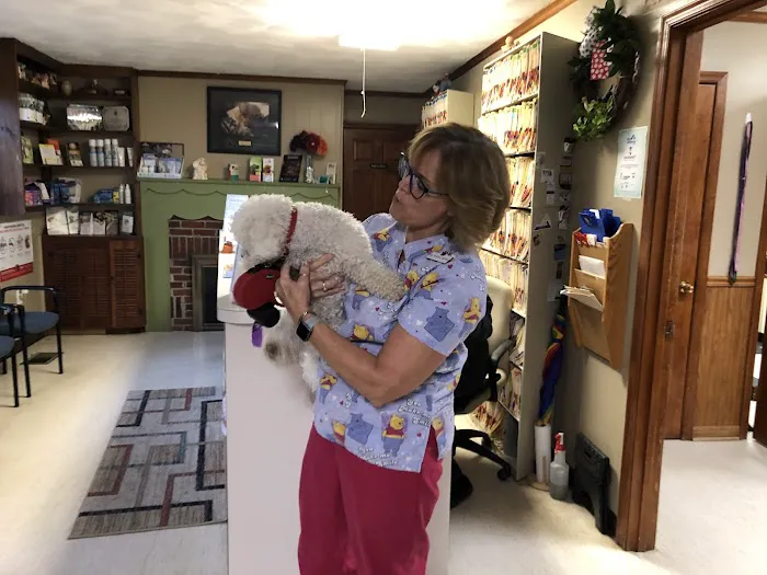 Prince William Animal Hospital 4