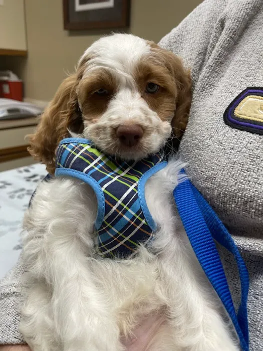 Prince William Animal Hospital 8