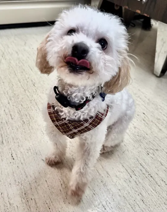 Prince William Animal Hospital 7