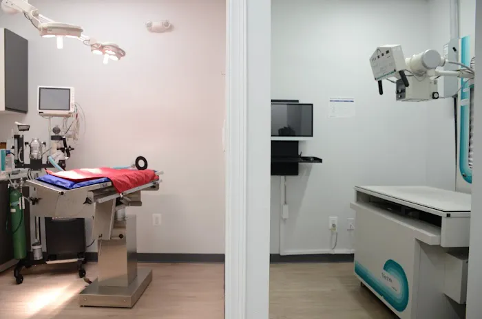 Manassas Animal Hospital 8