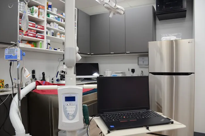 Manassas Animal Hospital 7