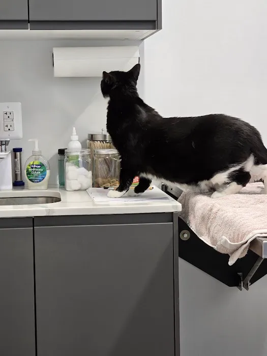 Manassas Animal Hospital 2