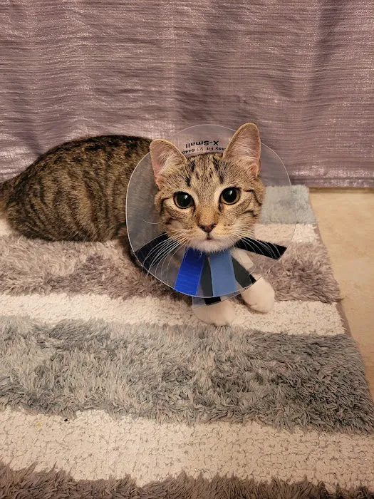 Manassas Animal Hospital 10