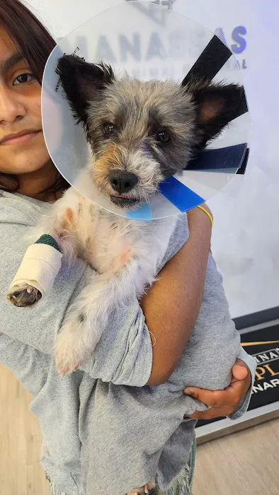Manassas Animal Hospital 5