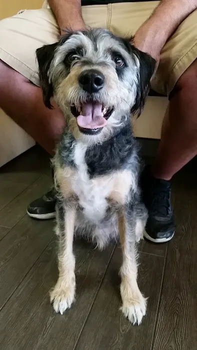 Banfield Pet Hospital 1