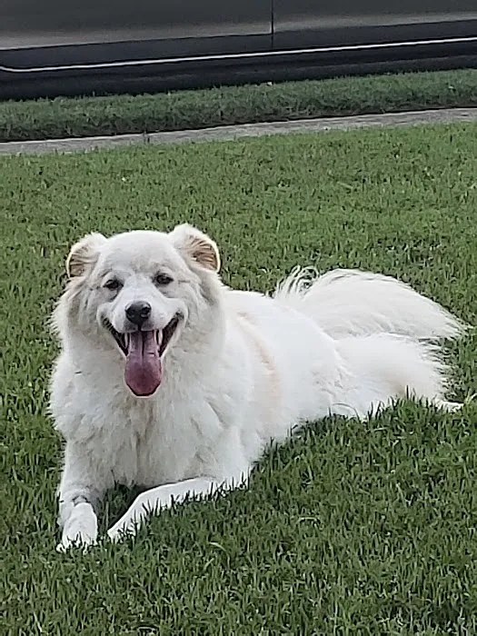 Banfield Pet Hospital 3