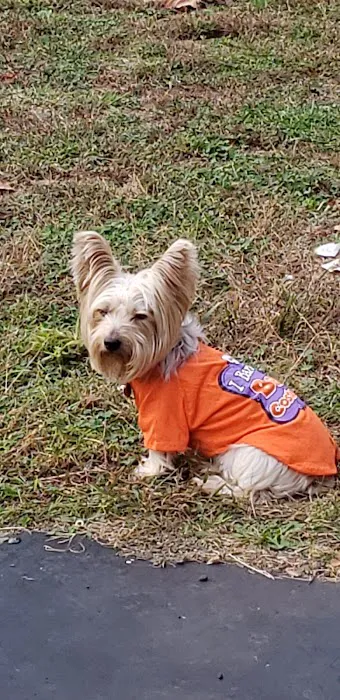 Banfield Pet Hospital 5