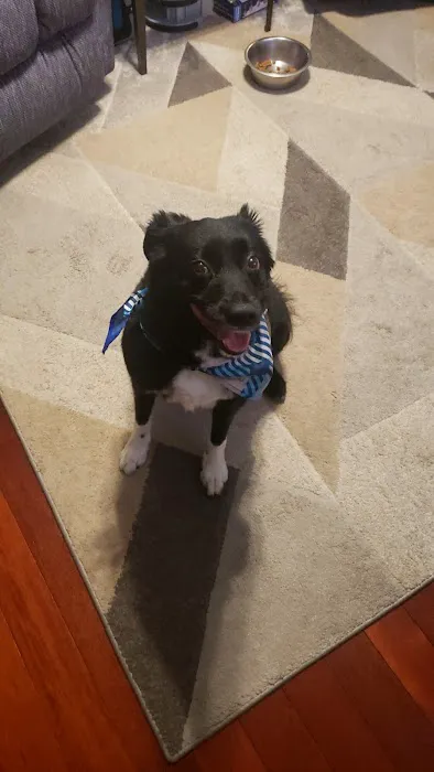 Banfield Pet Hospital 4