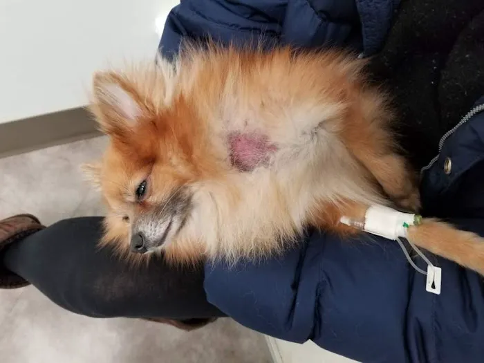 Banfield Pet Hospital 6