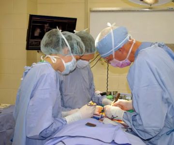 American College of Veterinary Surgeons
