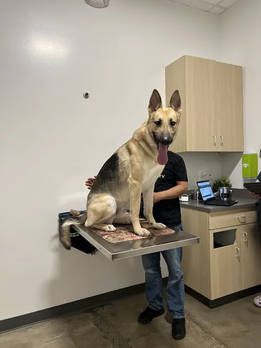 Thrive Pet Healthcare - Germantown 4