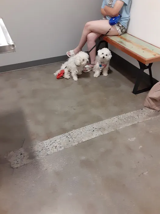 Thrive Pet Healthcare - Germantown 5
