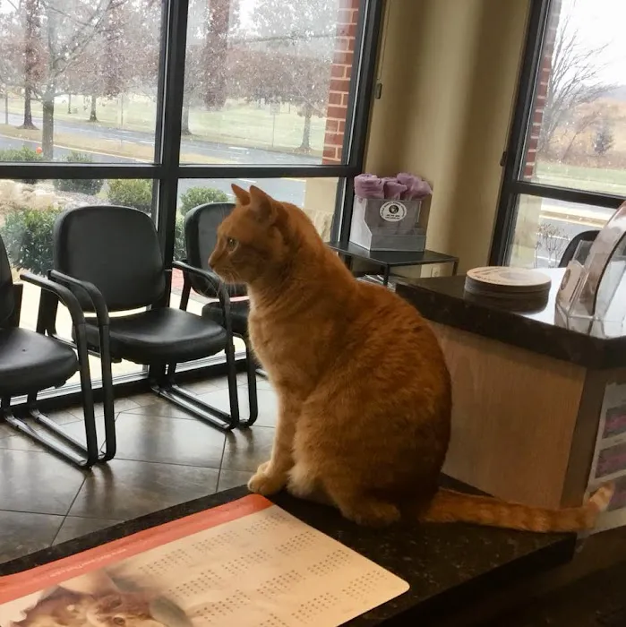 Little Seneca Animal Hospital 12