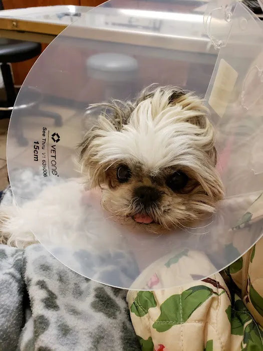 Banfield Pet Hospital 8