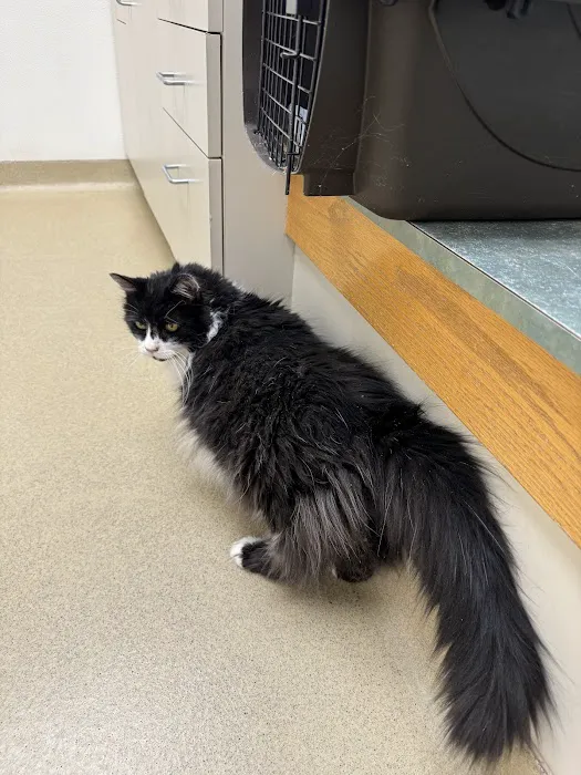 Germantown Veterinary Clinic 2
