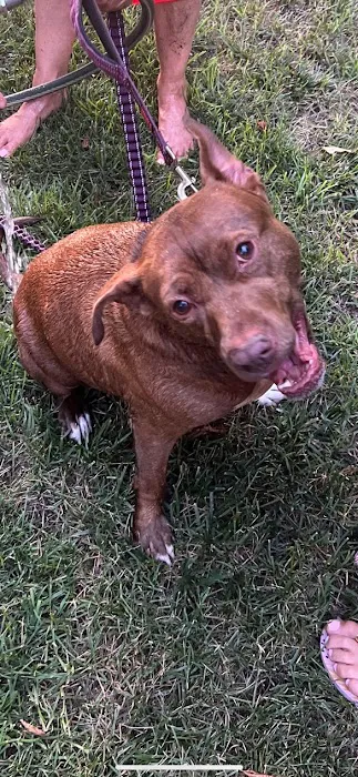 Brookeville Animal Hospital 12