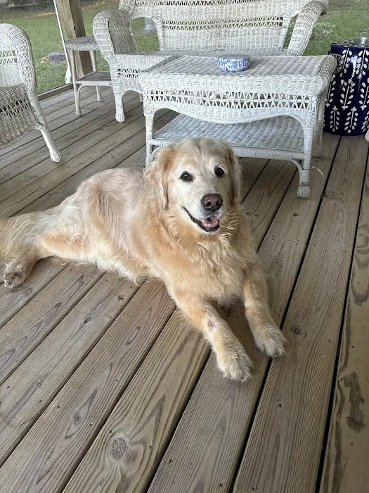 Brookeville Animal Hospital 12