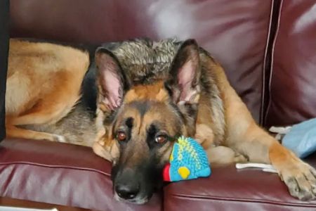 Brookeville Animal Hospital