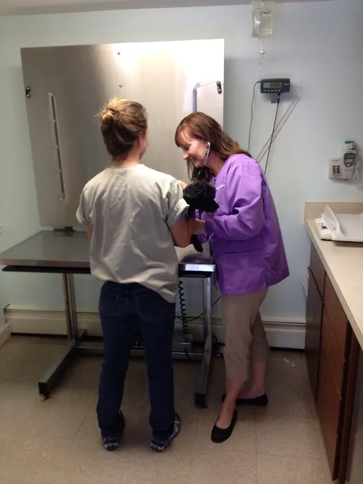 Woodfield Veterinary Clinic 1