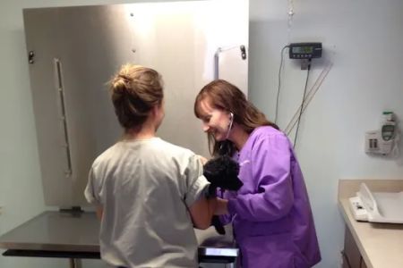 Woodfield Veterinary Clinic