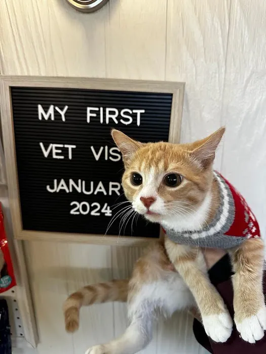 Damascus Veterinary Hospital 5