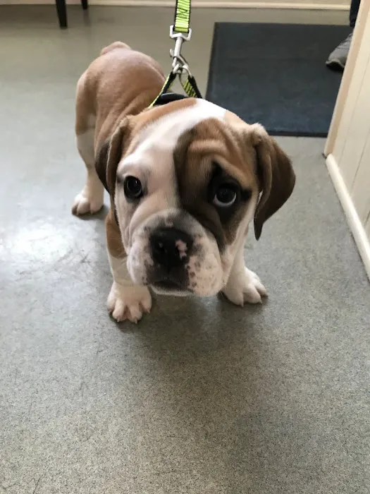 Damascus Veterinary Hospital 8