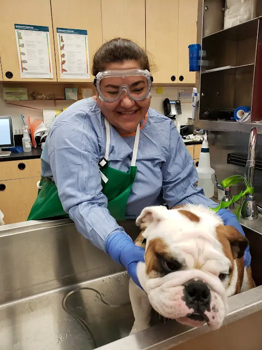 Banfield Pet Hospital 4