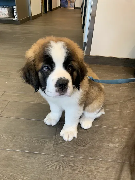 Banfield Pet Hospital 7
