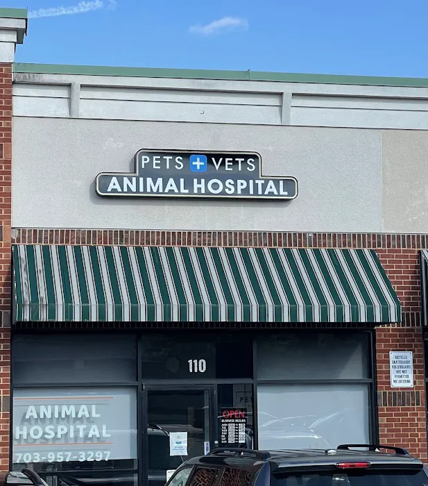 Pets and Vets Animal Hospital 4