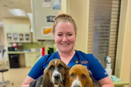 Dulles South Veterinary Center