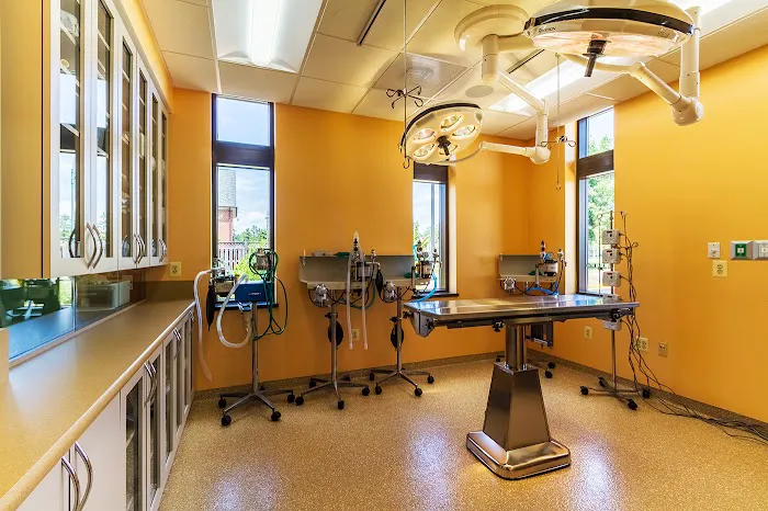 Aldie Veterinary Hospital 12
