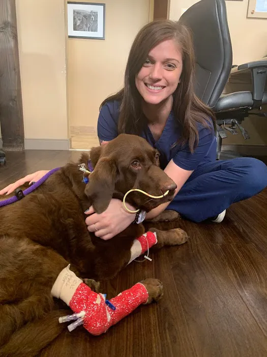 Aldie Veterinary Hospital 12