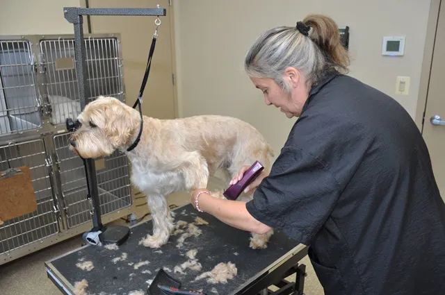 Aldie Veterinary Hospital 12