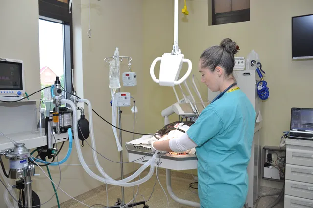 Aldie Veterinary Hospital 12