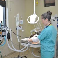 Aldie Veterinary Hospital ico