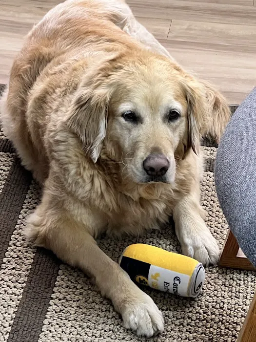 LifeCare Pet Hospital 5
