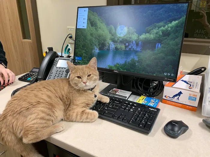 Harmony Hill Animal Hospital 12