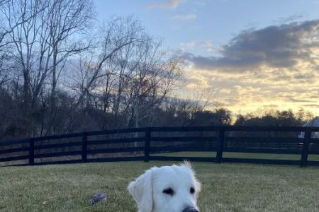 Harmony Hill Animal Hospital