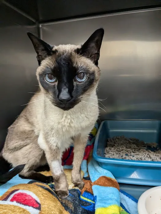Occoquan Animal Hospital 12