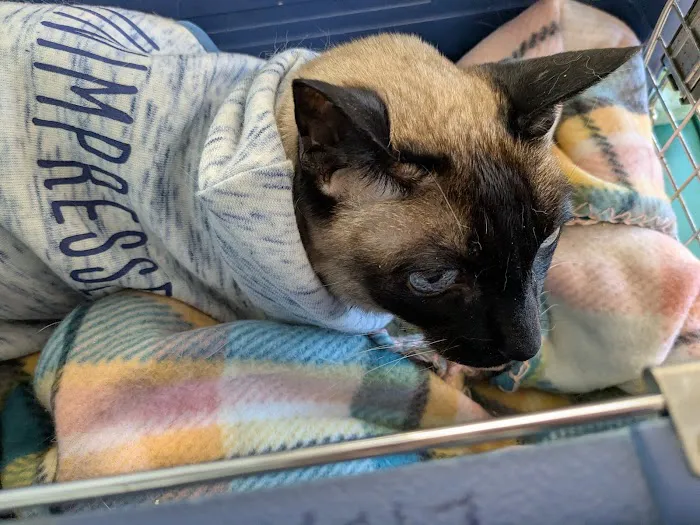 Occoquan Animal Hospital 12