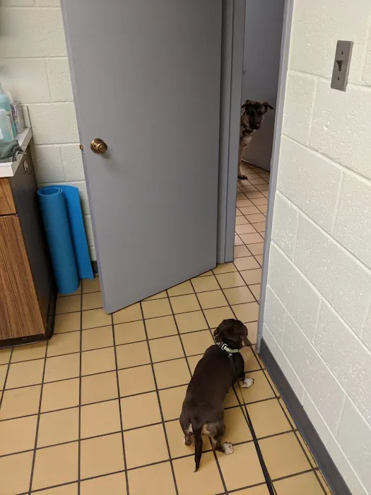 Occoquan Animal Hospital 12