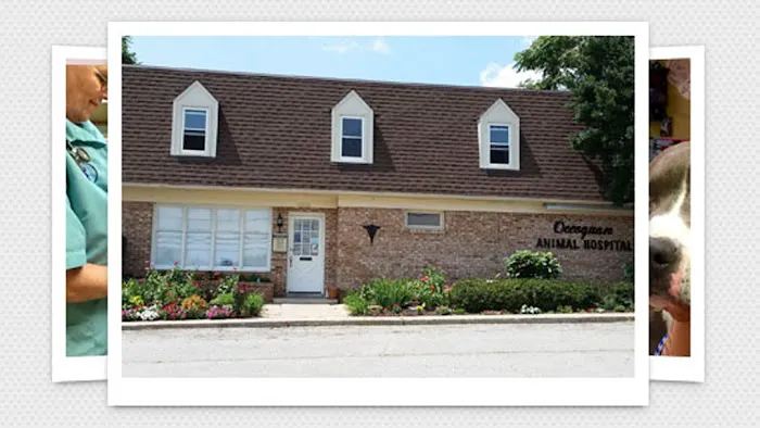 Occoquan Animal Hospital 12