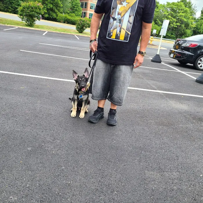 Woodbridge Animal Hospital: Moore Kara DVM 12