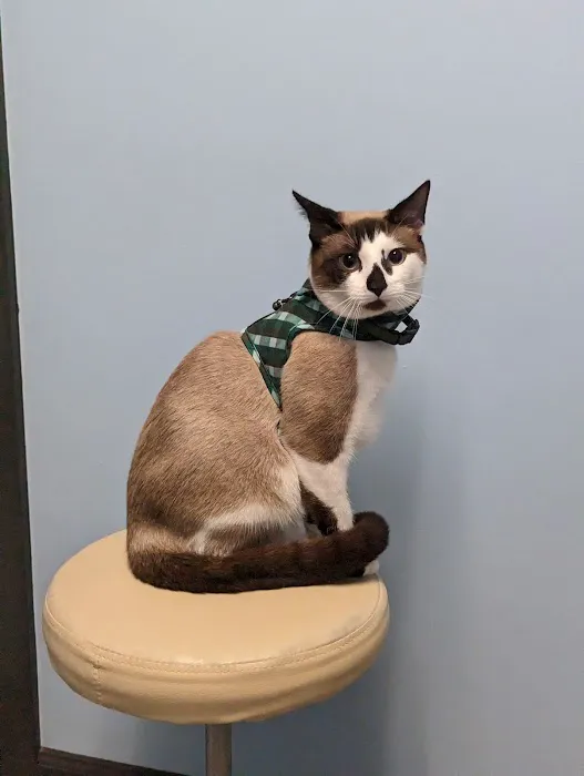 Davis Ford Animal Hospital 1